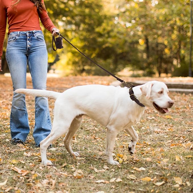 Wisedog Dog Collar and Leash Set Combo: Adjustable Pet Collars with Dog Leashes for Small Medium Large Dogs, Includes 1 Bonus of Poop Bag Holder (L(Collar:14"-22";Leash:5 ft), Brown)