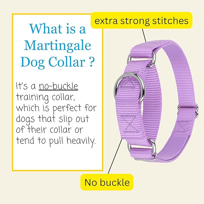 Country Brook Petz Martingale Dog Collar - Heavy-Duty Training Collar with No Buckle - Service Dog Collar for All Pups - Vibrant, Colorful Collection (Lavender, 1 Inch, Medium)