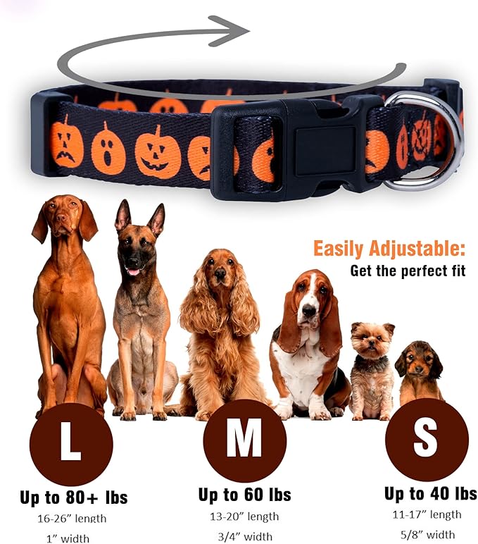 Native Pup Halloween Dog Collar- Spooky Fall Themed Horror Costume Collars- Skull, Pumpkin, Ghost, Bat, Witch, Candy Corn, Spider- Adjustable for Small, Medium, Large Breeds (Small, Big Pumpkins)