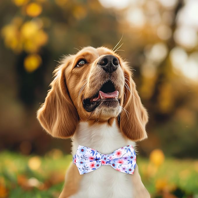 azuza Dog Collar with Bow Tie, Soft and Comfortable Adjustable Bowtie Dog Collar for Puppy and Small Dogs (XS, Gerbera)
