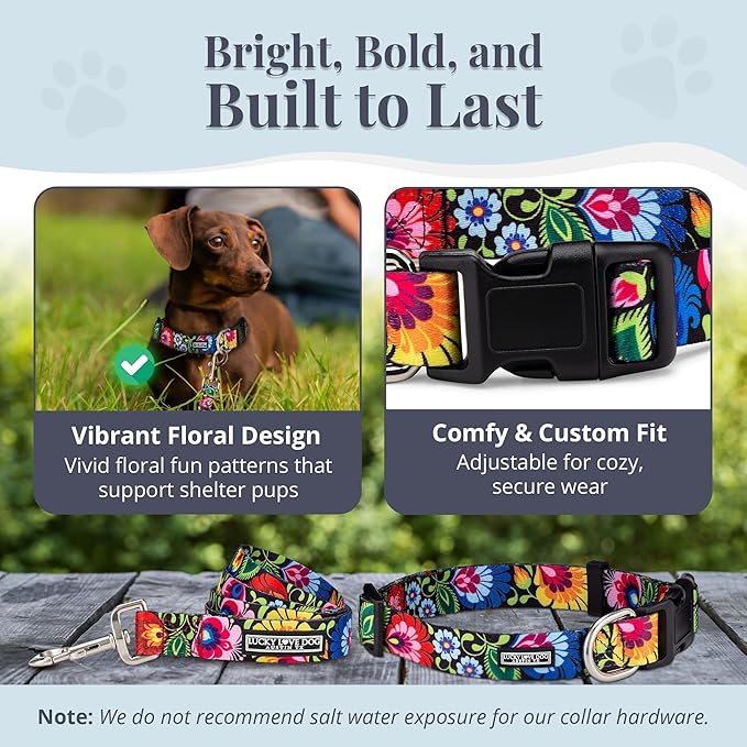 Lucky Love Dog - Easy Click Buckle Dog Collar with Leash Set Combo, Durable & Comfortable for Male & Female Dogs, Pet Collar for Small to Large Dogs, Secure Fit - Blackbird Combo, X-Small