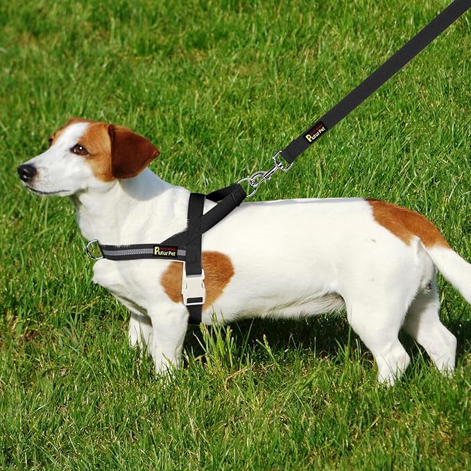 Plutus Pet Cotton Dog Harness and Leash Set, Reflective and Soft Padded, Quick Fit Vest Harness, for Small, Medium and Large Dogs, Black, L