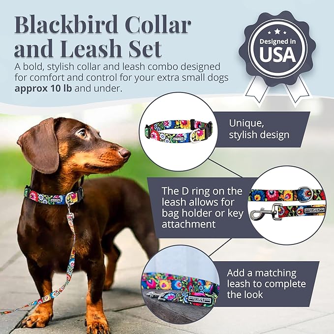Lucky Love Dog - Easy Click Buckle Dog Collar with Leash Set Combo, Durable & Comfortable for Male & Female Dogs, Pet Collar for Small to Large Dogs, Secure Fit - Blackbird Combo, X-Small