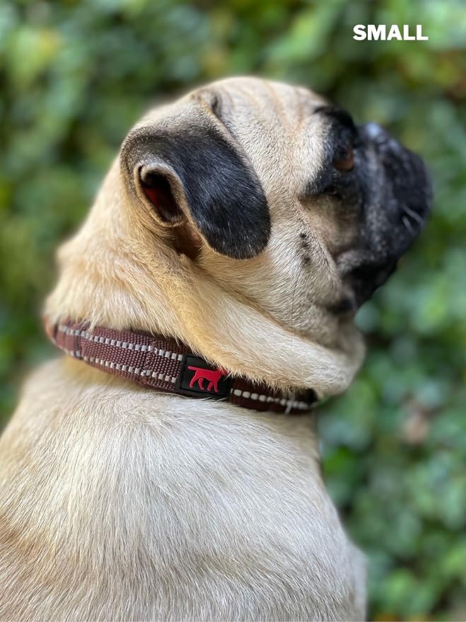 Tuff Pupper Heavy Duty Dog Collar with Handle | Ballistic Nylon Heavy Duty Collar | Padded Reflective Dog Collar with Adjustable Stainless Steel Hardware | Convenient Sizing for All Breeds