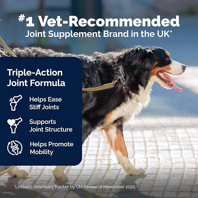 Lintbells YuMOVE Joint Supplement Dog Chews - Contains Glucosamine, Green Lipped Mussel - Natural Relief from Hip Ache, Stiff Joints - 1 Month’s Supply (Large & X-Large)
