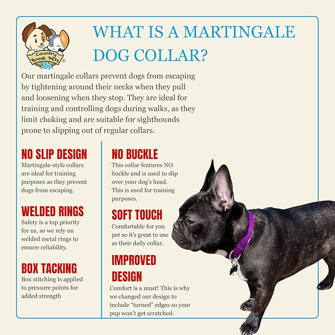 Country Brook Petz Martingale Dog Collar - Heavy-Duty Training Collar with No Buckle - Service Dog Collar for All Pups - Vibrant, Colorful Collection (Bright Purple, 3/4 Inch, Small)