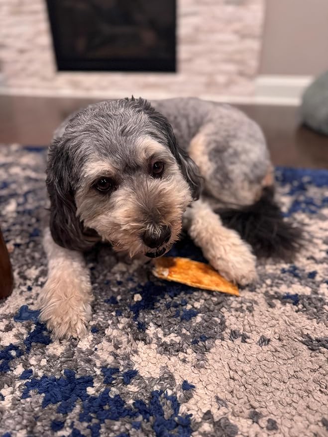 Fieldcrest Farms Nothing to Hide Natural Rawhide Alternative Flip Chips for Dogs - 3 Pack Bundle & Magnet (Chicken, Beef, Peanut Butter) Premium Easily Digestible Chews Great for Dental Health