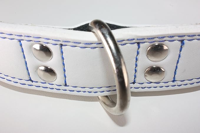 Premium Leather Collars with Stainless Steel Buckles (18"-21", White)