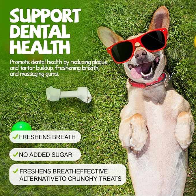 ASMPET Chicken Jerky Dog Treats Human-Grade Taurine-High Protein Low Fat Grain-Free Easily Digestible 100% Natural Healthy Dog Treats for Small Medium Large Dogs (10.6 oz)