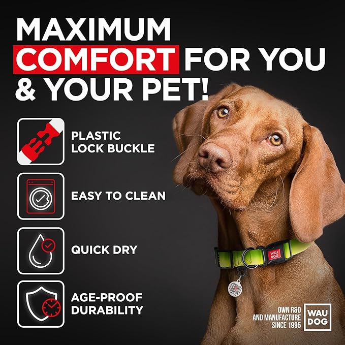 Airtag Dog Collar Nylon Dog Collar with Airtag Holder - Adjustable for Large Dogs, Small & Medium Dogs - Breakaway Puppy Collars for Large Breed Dogs - Boy & Girl Collars