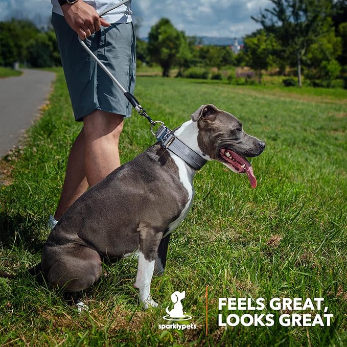 SparklyPets Heavy Duty Wide Dog Collar with Quick Release Chrome Buckle – Thick Tactical Dog Collar with Reflective Stripes & Soft Lining – for Large & Medium Breeds