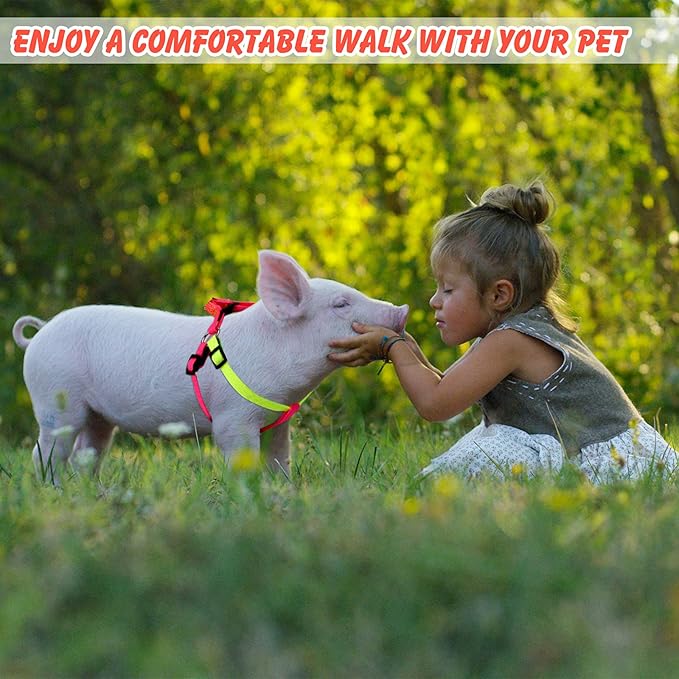 Frienda 2 Pcs Mini Pig Harness Leash Adjustable Small Pet Supply Mini Pig Walking Harness and Leash for Hog Piggy Ferret Rabbit Dog Cat and Other Small Animals Walking Training Jogging