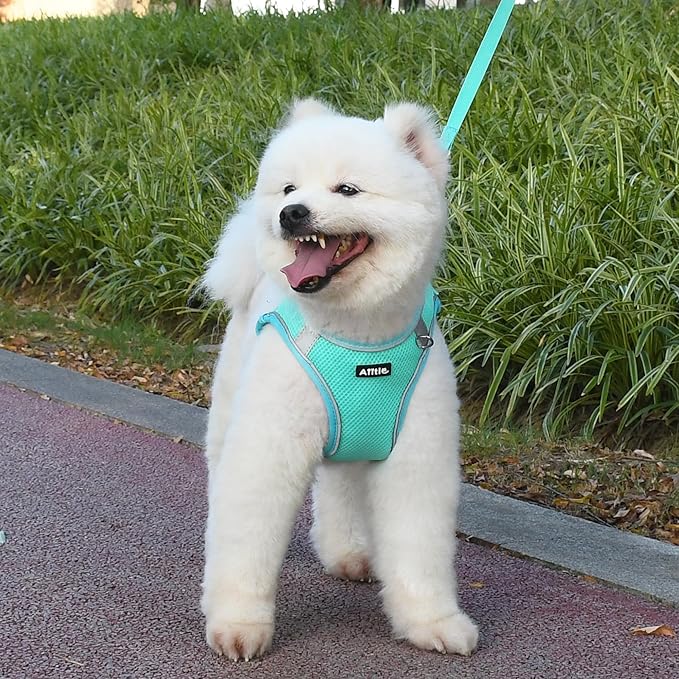 AIITLE Dog Harness for Medium Sized Dog, No-Pull Dog Vest with a Leash, Breathable Mesh, Reflective Stripes, Escape Proof Pet Outdoor Harnesses Puppy Essentials for Medium Dogs Turquoise M