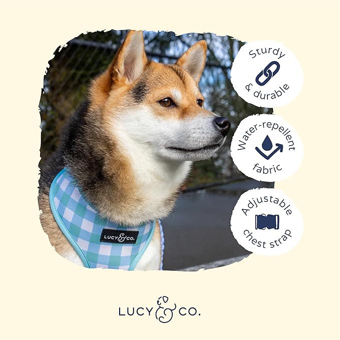 Lucy & Co. Cute Reversible Dog Harness Walking Halter - Best Designer Pet Harnesses for XS - XL Dogs - Padded Adjustable Vest for Easy Walking (Small, Hippity Hoppity - Light Blue with Bunnies)