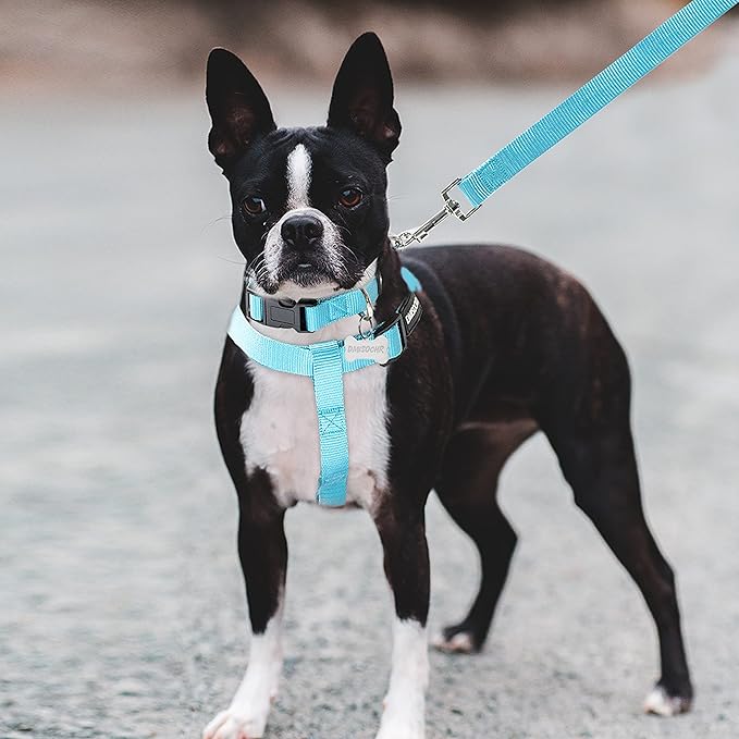 No Pull Dog Harness - Adjustable Step-in Harness & Leash Set for Small, Medium, Large Dogs - Escape Proof Soft Pet Harness for Walking, Training, Hiking, Outdoor Activities