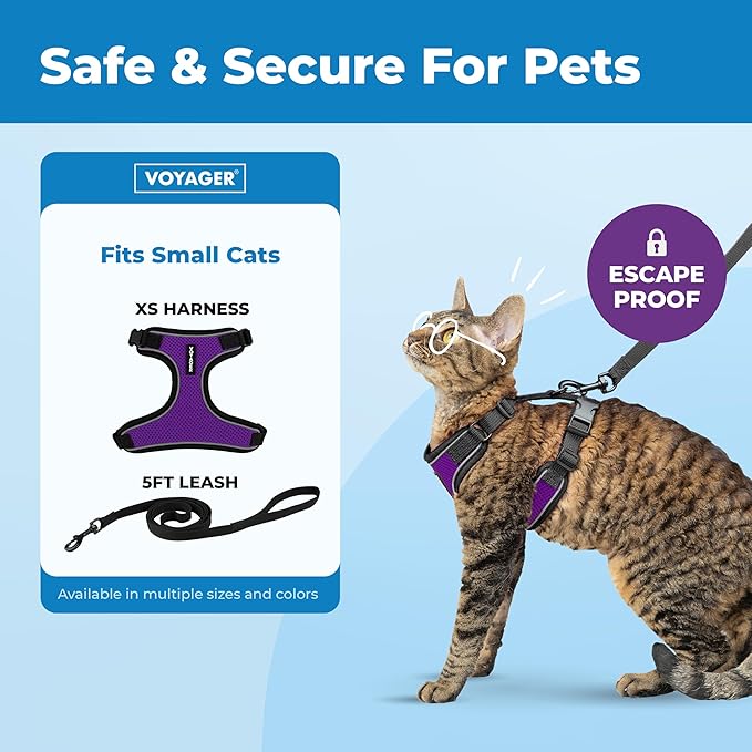 Voyager Escape Proof Cat Harness and Leash Set with Reflective Stitching, Neoprene Handle 5ft - Supports Small, Medium and Large Cats, Kittens for Walking by Best Pet Supplies - Black Trim-Purple, XS