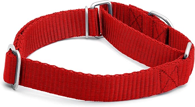 Martingale Dog Collar - Heavyduty Nylon Dog Collar with No Buckle Dog Training Collars for Medium Dogs (Red, XL)