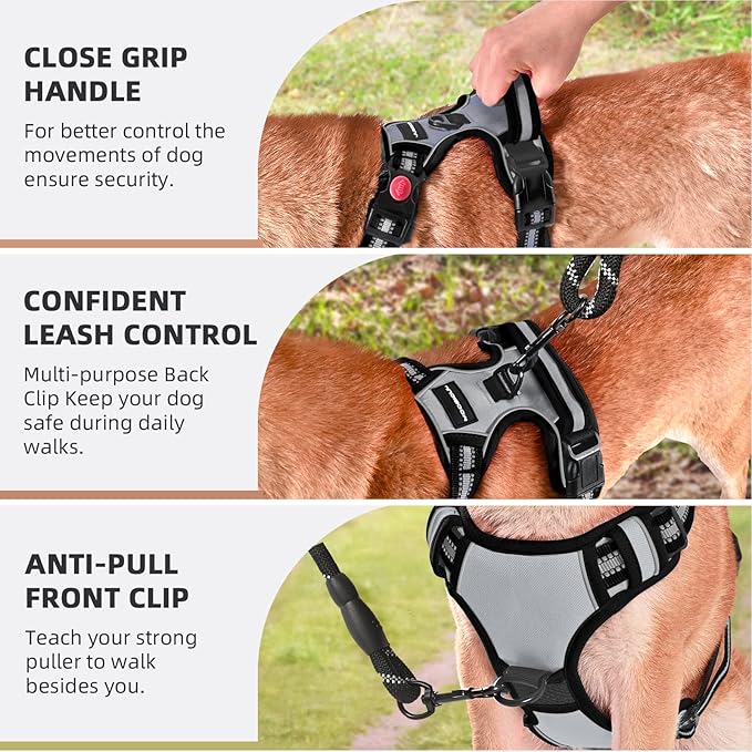 No Pull Dog Harness with A Free Heavy Duty 5ft Dog Leash, Adjustable Soft Padded Dog Vest, Reflective No-Choke Pet Oxford Vest with Easy Control Handle and Dog Leash for Dogs (Grey, Small)
