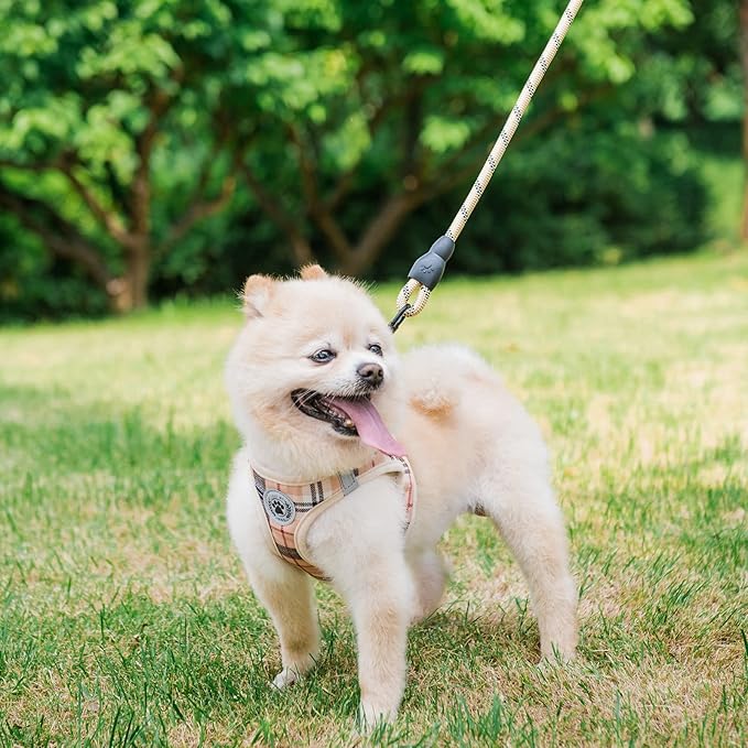 BEAUTYZOO Plaid Dog Harness and Leash Set for XS S Pets, Step-in No Choke No Pull Soft Mesh Vest Harness, Reflective for Extra-Small/Small Medium Puppy Dogs and Cats, Beige S