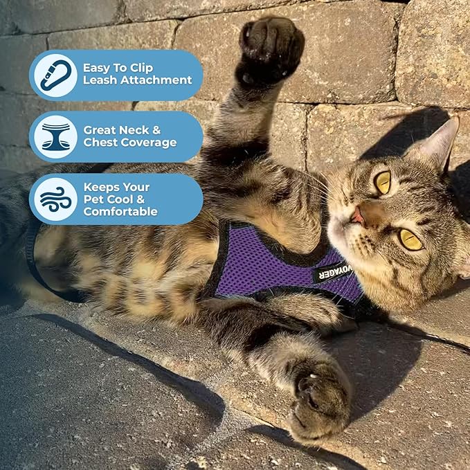 Voyager Step-in Lock Adjustable Cat Harness w. Cat Leash Combo Set with Neoprene Handle 5ft - Supports Small, Medium and Large Breed Cats by Best Pet Supplies - Purple/Black Trim, XS