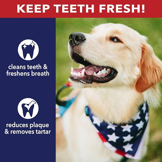 Pet Factory American Beefhide 5" Munch Mini Rolls Dog Chew Treats - Chicken Flavor, 1.5 lbs