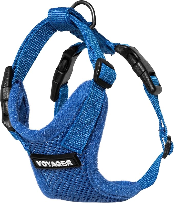 Voyager Step-in Lock Adjustable Cat Harness w. Cat Leash Combo Set with Neoprene Handle 5ft - Supports Small, Medium and Large Breed Cats by Best Pet Supplies - Royal Blue, XXXS