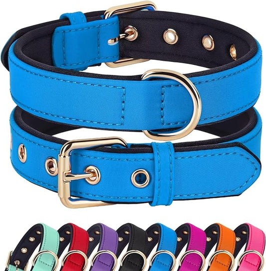Didog Soft Padded Dog Collars for Medium Dogs, Lightweight and Breathable Dog Collar Waterproof with Metal Buckle, Blue, M