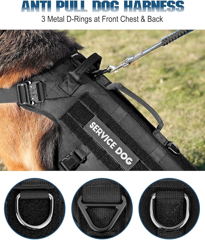 Tactical Dog Harness - PETNANNY Service Dog Vest for Large Dogs Fully Body Coverage in Training Dog Harness with 2 Reflective Dog Patches, Handle, Hook and Loop Panels, Dog MOLLE Vest (Black, M)