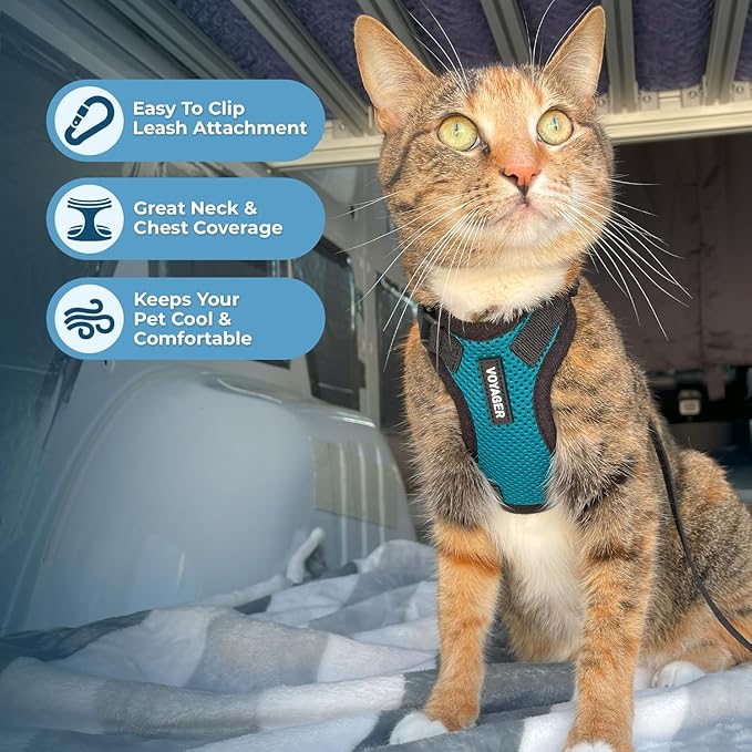 Voyager Step-in Lock Cat Harness and Reflective Cat Leash with Neoprene Handle by Best Pet Supplies - Supports Small, Medium and Large Breed Cats, Turquoise/ Black Trim, size S - 5ft
