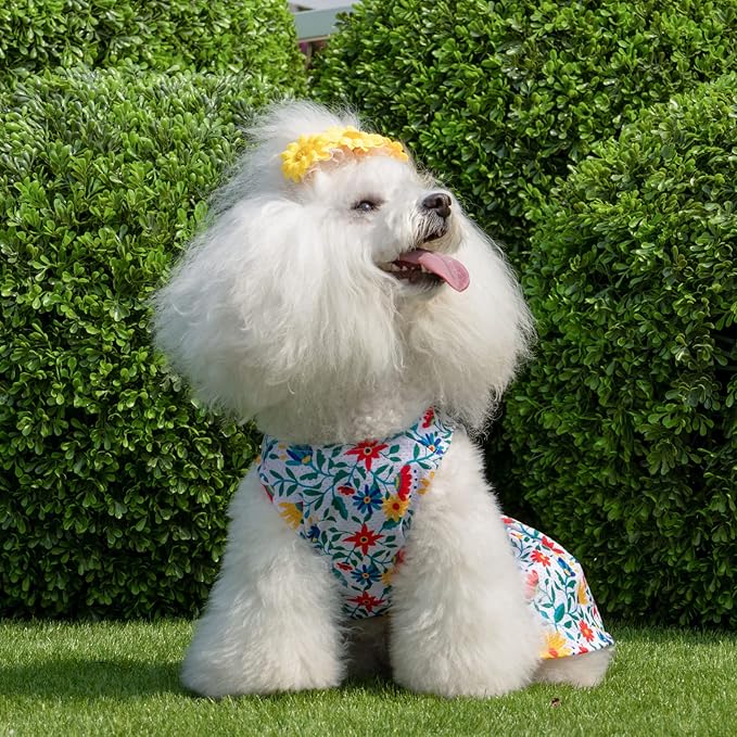 CuteBone Dog Mesh Dress Puppy Sundress Pet Outfit Summer Fashion for Small Dogs Girl Cat Clothes BF20S