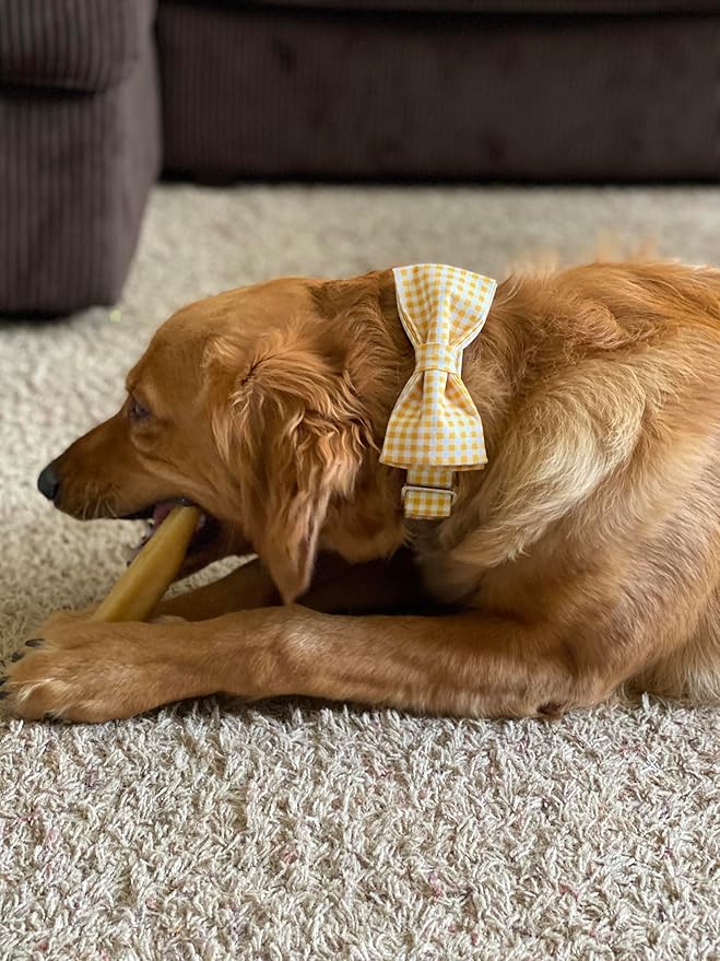 Lionet Paws Dog Collar with Bowtie, Durable Adjustable and Comfortable Collar for Large Dogs, Neck 16-24in