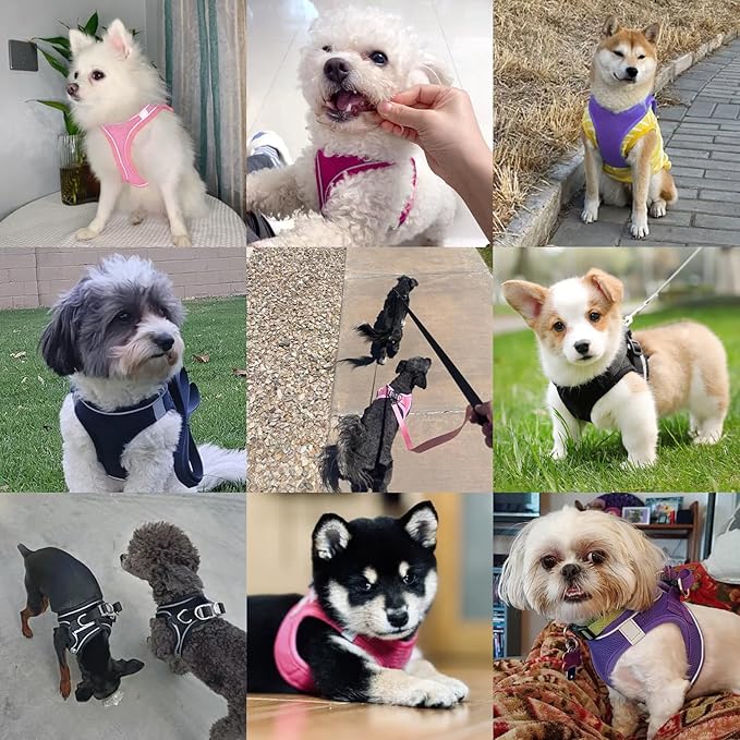 Dog Harness with Leash Set, No-Pull Step-in Reflective Pet Harness with 1 Leash Clips, Adjustable Soft Padded Easy Walk Dog Vest for Small Medium Large Dogs, Cats(Dark Blue,Medium)