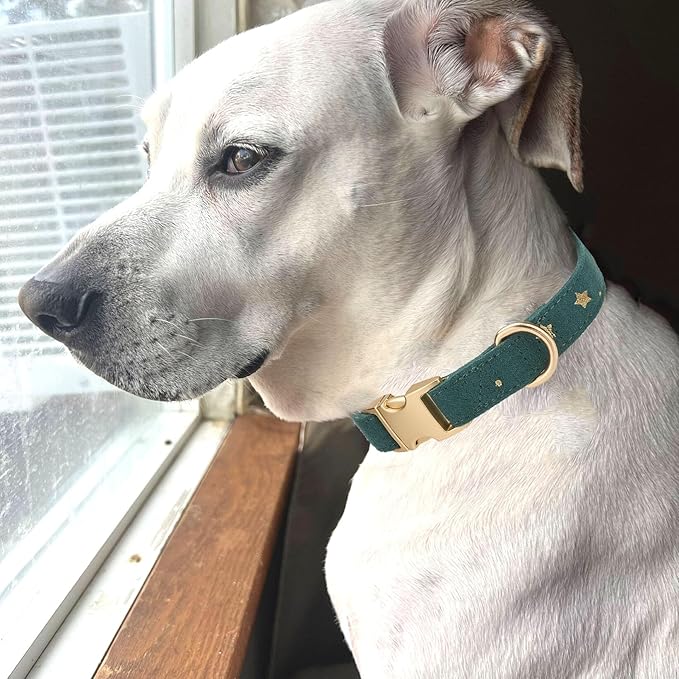 Cotton Dog Collar with Metal Buckle Adjustable Soft Dog Collars with Gold Star for Small Medium Large Dogs,Dark Green,Medium