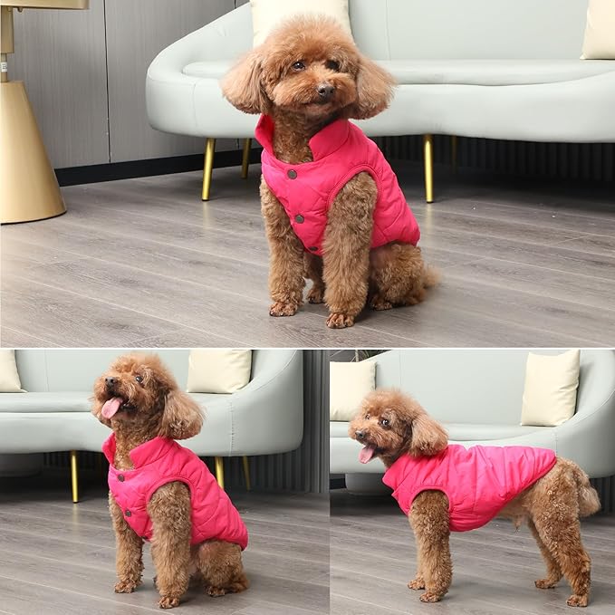 2 Layers Fleece Lined Warm Dog Jacket for Winter Cold Weather,Soft Windproof Medium Dog Coat,Pink XL