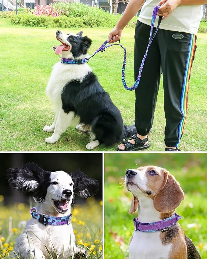 Hotsky Tactical Dog Collar and Leash Set, Heavy Duty Military Airtag Dog Collar with Handle and Metal Buckle for Training and Walking, with Airtag Holder and Two Patches (Purple Camo, XL)