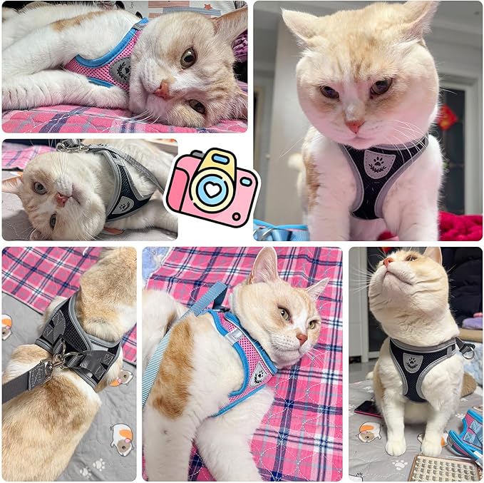 SCENEREAL Cat Harness and Leash Set Escape Proof, Adjustable Soft Air Mesh Kitten Harnesses for Girls Boys Small Medium Big Cats, Reflective Light Travel Pet Walking Vest for Puppy Rabbit, Black XL