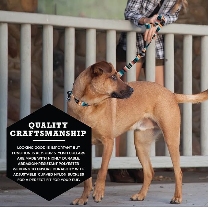 Wolfgang Heavy Duty, Adjustable Dog Collar with Quick Release Nylon Buckle for Walking & Training, LostArt Print, Small