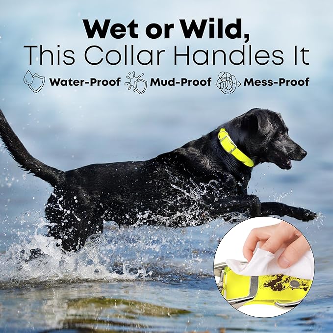 Regal Dog Products Small Yellow Waterproof Dog Collar and Leash Set | Heavy Duty Double Buckle & D Ring - 5'ft Leash | Adjustable Biothane Dog Collar | Chew Resistant Waterproof Collar for Dogs