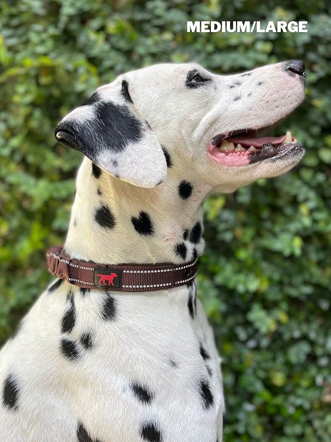 Tuff Pupper Heavy Duty Dog Collar with Handle | Ballistic Nylon Heavy Duty Collar | Padded Reflective Dog Collar with Adjustable Stainless Steel Hardware | Convenient Sizing for All Breeds
