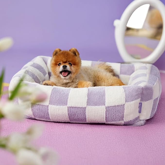 Lesure Cute Dog Bed for Small Dogs - Washable Puppy Beds,Cozy Rectangle Orthopedic Pet Sofa with Jacquard Shaggy Plush & Anti Slip Bottom,25x21x7inches