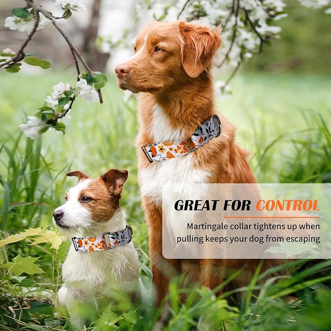 Hikiko Martingale Collar for Dogs with No Buckle Flower Dog Collars Comfortable Nylon Training Collar for Small Dogs,Retro Orange Flower,S
