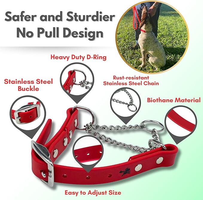 Martingale Collar for Dogs, Biothane, Stainless Steel Hardware, No Pull, Made in The USA, Professional Grade, XL, Red