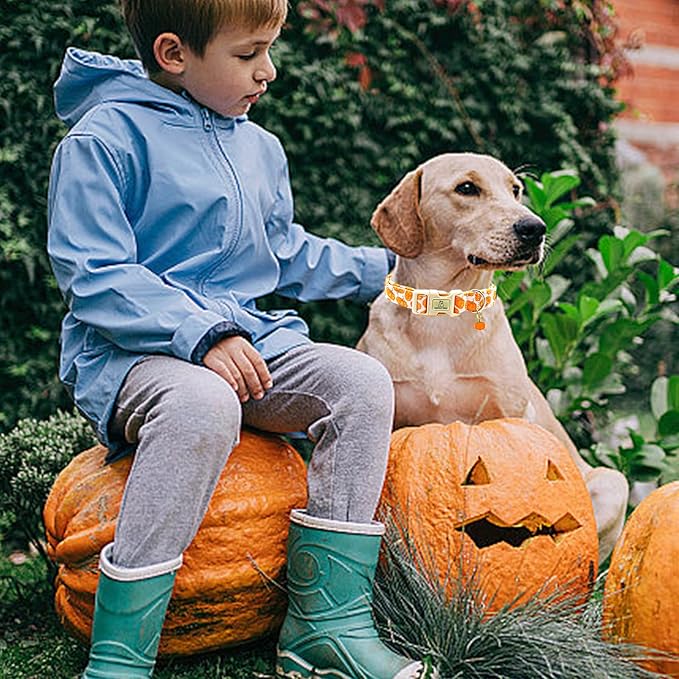 Lionheart glory Halloween Dog Collars Pumpkin Pink Dog Collars Heavy Duty Adjustable Fall Collar for Small Collar Dogs Female or Male
