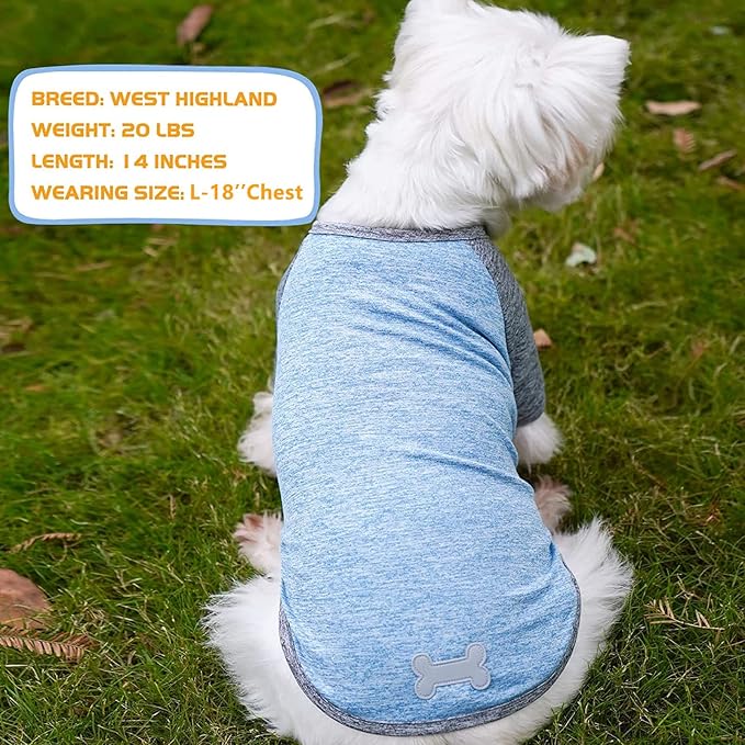 KYEESE Dog Shirts Quick Dry 2 Pack Breathable Lightweight Stretchy Dog T-Shirt with Reflective Label Raglan Sleeve Pet Apparel for Medium Dogs