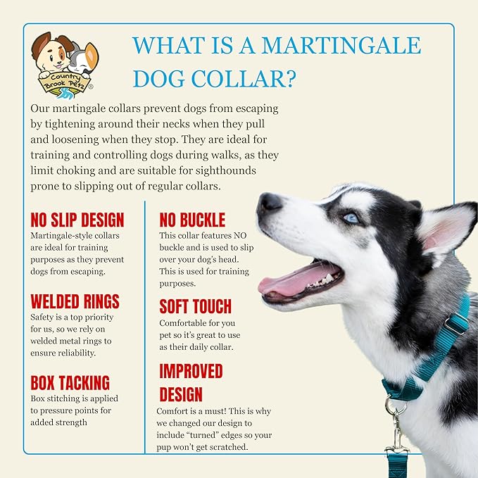 Country Brook Petz Martingale Dog Collar - Heavy-Duty Training Collar with No Buckle - Service Dog Collar for All Pups - Vibrant, Colorful Collection (Teal, 1 Inch, Medium)