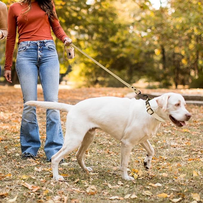 Wisedog Dog Collar and Leash Set Combo: Adjustable Durable Pet Collars with Dog Leashes for Small Medium Large Dogs, Includes One Bonus of Poop Bag Holder (L, Sand Color)