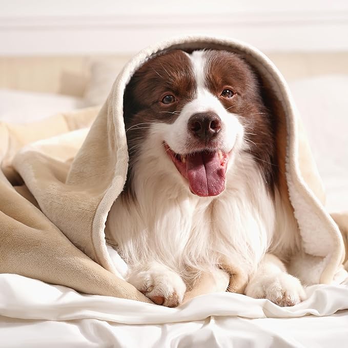 gogobunny Waterproof Bed Blanket, Reversible Sherpa Fleece Throw Blanket for Dog Puppy Cat, Furniture Cover Protects Bed Couch Sofa from Liquid Pee and Pet Fur (Beige, 60x80 inches)
