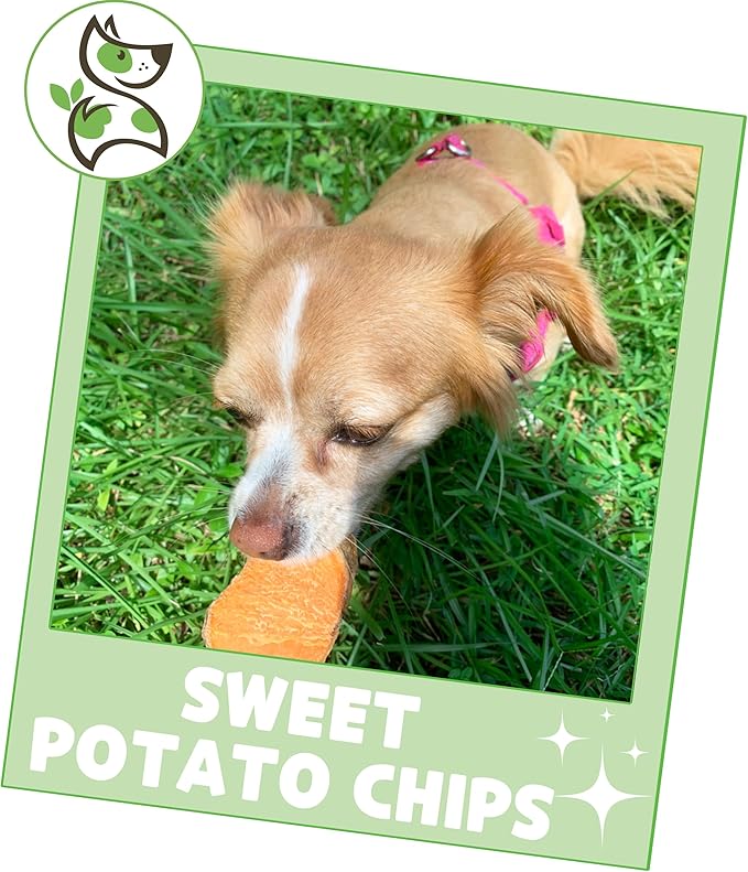 Nature Gnaws Sweet Potato Chips for Dogs - Single Ingredient Natural Dog Chew Treats - 12 oz