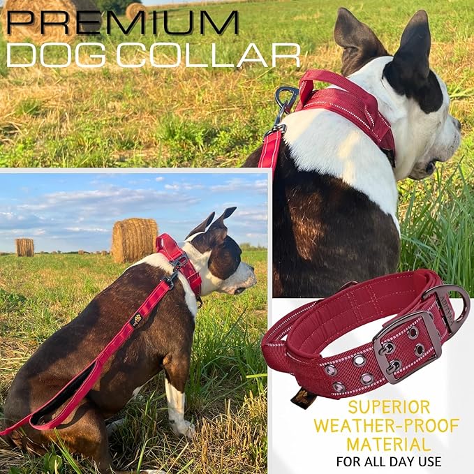 ADITYNA Heavy Duty Dog Collar for Medium Dogs - Reflective Burgundy Collar with Handle for Training, and Walking - Wide, Thick, Tactical, Soft Neoprene Padded