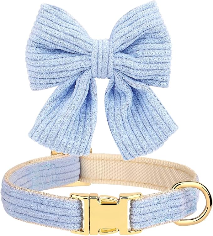 Didog Dog Collar and Leash Set with Bowtie, Girl Dog Collars Metal Buckle Adjustable for Small Medium Dogs(Blue, M)